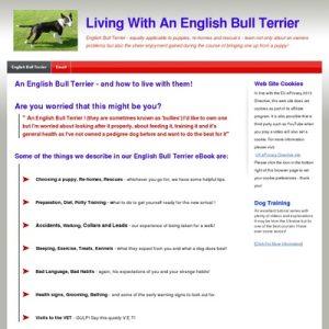 Finding out To Are living With An English Bull Terrier from Home dog To Grownup